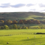 autumn-colours-assel-stinchar-valley-037