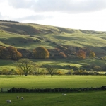 autumn-colours-assel-stinchar-valley-013