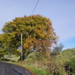 pinwherry-pinmore-views-022