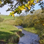 pinwherry-pinmore-views-023