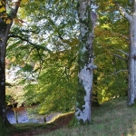 pinwherry-pinmore-views-052