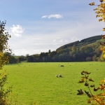 pinwherry-pinmore-views-061