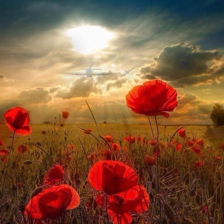 Pinwherry Remembrance Day