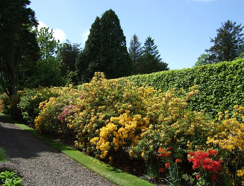 Kirkhill Gardens Open Day